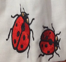 Two Ladybugs